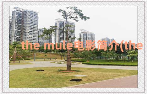the mule电影简介(the mule 电影)